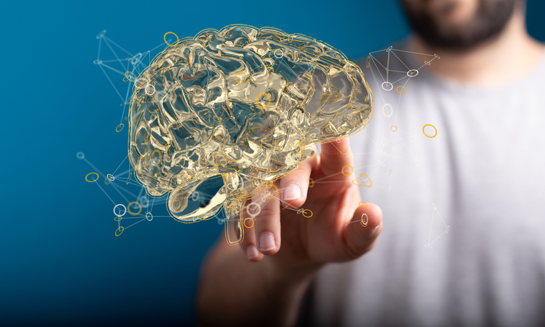 brain integration
