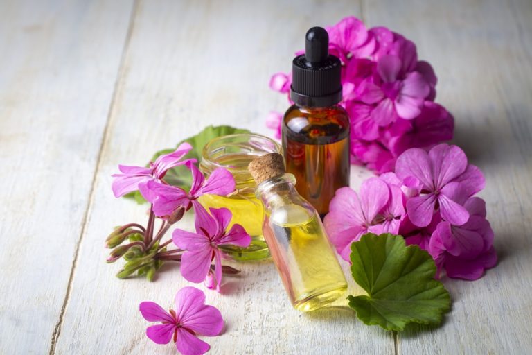 Geranium Essential Oil