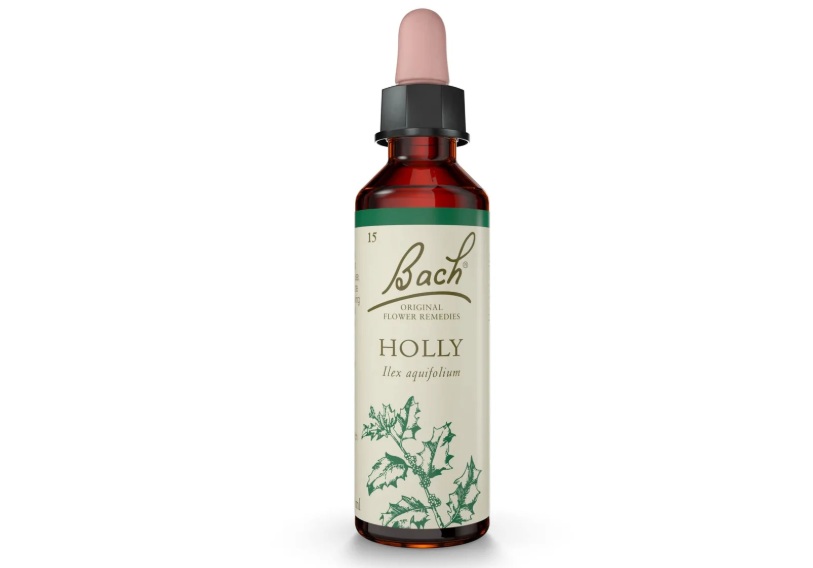 Holly Bach Flower Remedy