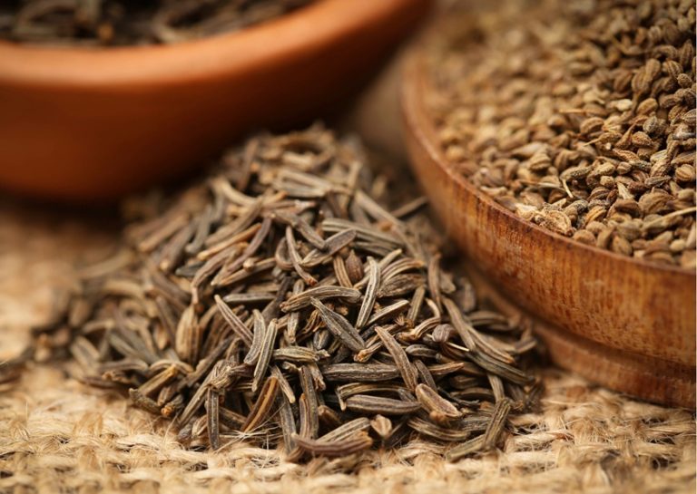 Caraway Essential Oil